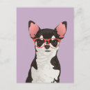 Recherche de chihhuahua cartes postales Toute personne
