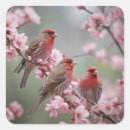 Recherche de finition autocollants Oiseau
