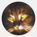 Zoek naar kattenoog stickers Ogen