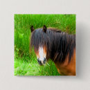 Recherche de petit poney badges Chevaux