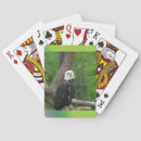 Recherche de tête jeux de cartes Oiseaux