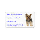 Zoek naar yorkshire terrier etiketten Puppy