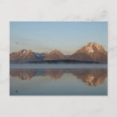 Recherche de nattier cartes postales Nature
