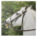 Recherche de de cheval carreaux Équitation