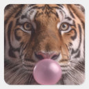 Zoek naar tijger portret stickers Natuur