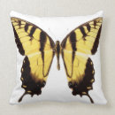 Recherche de machaon noir Jaune