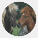 Recherche de cheval miniature autocollants Miniatures