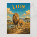 Recherche de lions africains cartes postales De lion