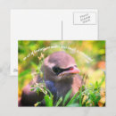 Recherche de acte cartes postales Inspirant