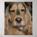 Zoek naar cocker spaniel kunst Gezelschapsdieren