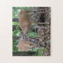Recherche de cerf puzzles Bois
