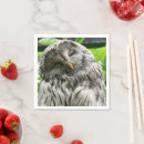 Recherche de hiboux serviettes Pour tous