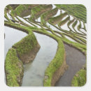 Zoek naar terras stickers Landschap
