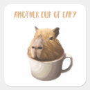 Zoek naar capybara stickers Schattig