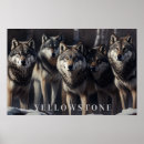 Zoek naar wolves kunst Wolf