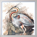 Recherche de naturaliste art Vintage