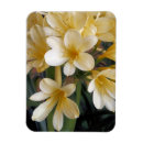 Recherche de fleur jaune magnets Floral