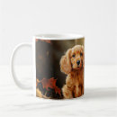 Recherche de cocker américain tasses Dog