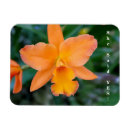 Recherche de le fiançailles magnets Amour
