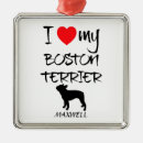 Recherche de boston terrier ornements Pour animaux