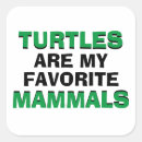 Recherche de humour tortue autocollants Toute personne