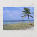 Zoek naar aruba briefkaarten Strand