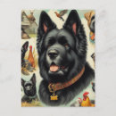 Recherche de bouvier cartes postales Bouvier des flandres
