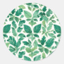 Recherche de motif tropical autocollants Botanique
