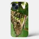 Recherche de papillon tropical coques Vert
