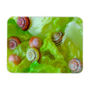 Recherche de et escargot magnets Escargots