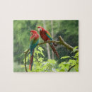 Recherche de ara puzzles Forêt tropicale