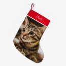 Recherche de coutume chaussette de noël Animal