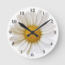 Recherche de marguerite blanche horloges Botanique