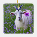 Recherche de ornement de chèvre ornements Animal de ferme
