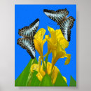 Zoek naar blauwe vlinders posters Bloemen