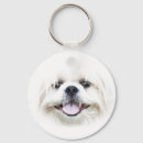 Recherche de shih tzu porteclés White