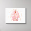 Recherche de appareil respiratoire posters Poumons humains