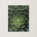 Recherche de vue gros plan puzzles Monde naturel
