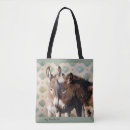 Recherche de burros sacs Âne