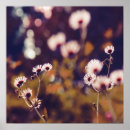 Recherche de impressionniste photographie Floral