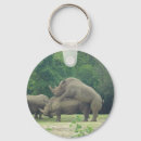 Recherche de rhinocéros porteclés Sauvage