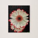 Zoek naar gerbera puzzels Floral