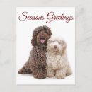 Recherche de noël de chien cartes postales Amoureux de les chiens
