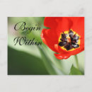 Recherche de beau jardin cartes postales Moderne