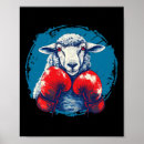 Zoek naar boksers posters Kickboksen