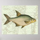 Recherche de eau douce art Pêche