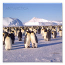 Recherche de antarctique art Pingouins