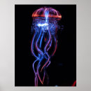 Zoek naar kwallen posters Fotografie
