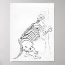 Recherche de squelette dinosaure posters Histoire