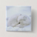 Recherche de churchill badges Hiver